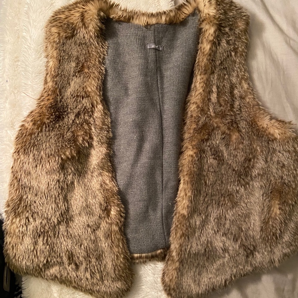 Aerie Fur Vest